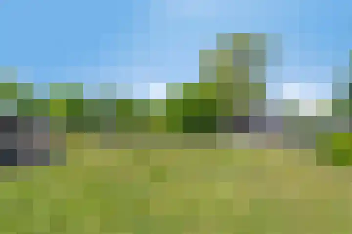 Zandvoort 14 Gieten thumbnail 42