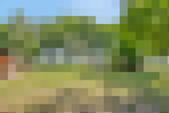 Zandvoort 14 Gieten thumbnail 44
