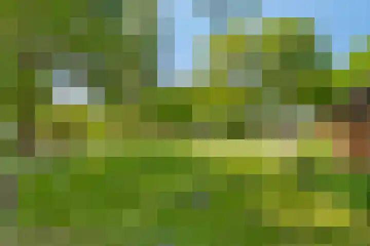 Zandvoort 14 Gieten thumbnail 45