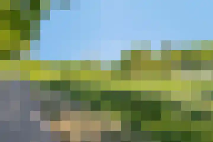 Zandvoort 14 Gieten thumbnail 46
