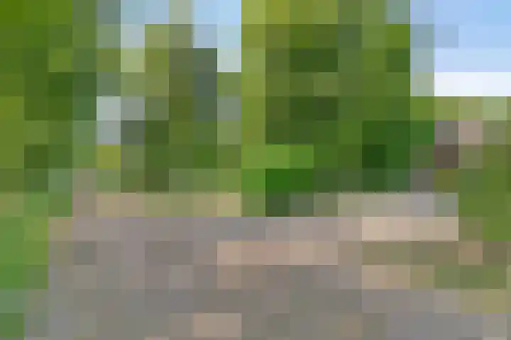 Zandvoort 14 Gieten thumbnail 5
