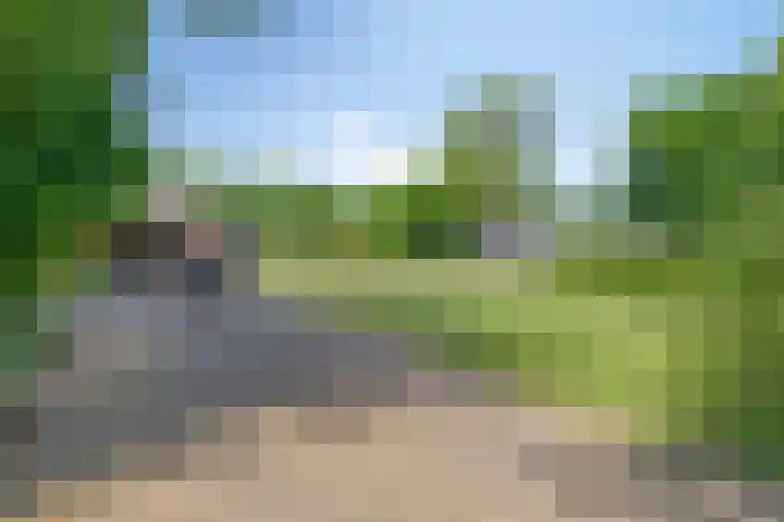 Zandvoort 14 Gieten thumbnail 6