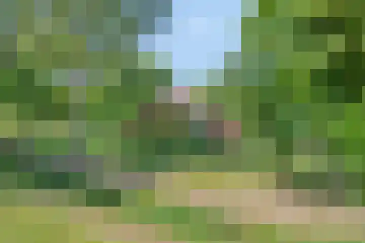 Zandvoort 14 Gieten thumbnail 7