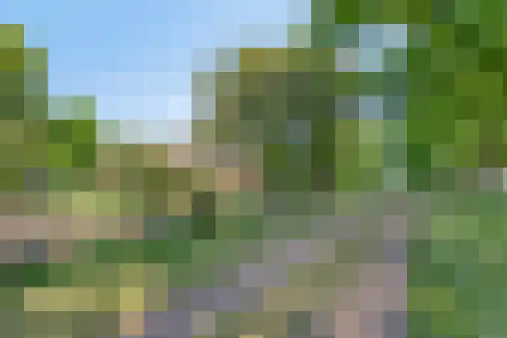 Zandvoort 14 Gieten thumbnail 9