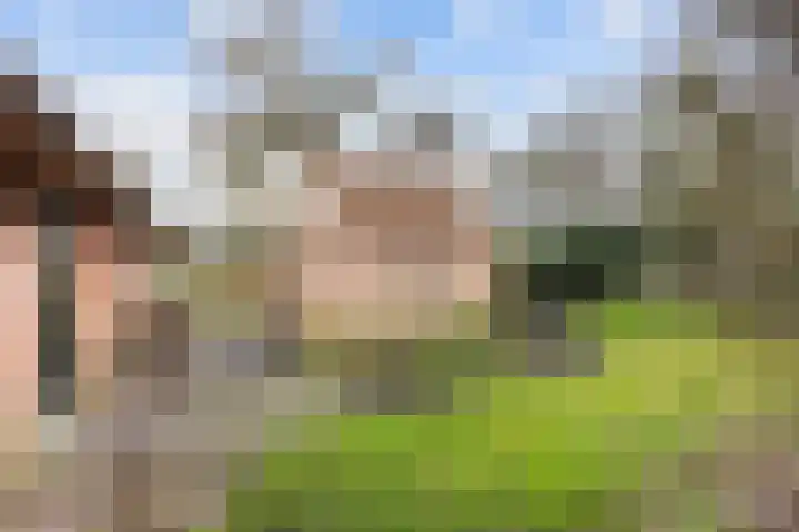 Zandvoort 2 A Norg thumbnail 47