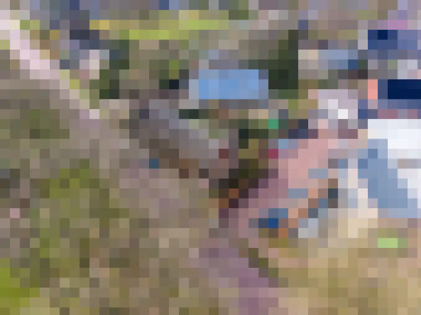 Zandvoort 2 A Norg thumbnail 53