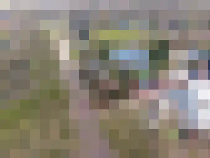 Zandvoort 2 A Norg thumbnail 7