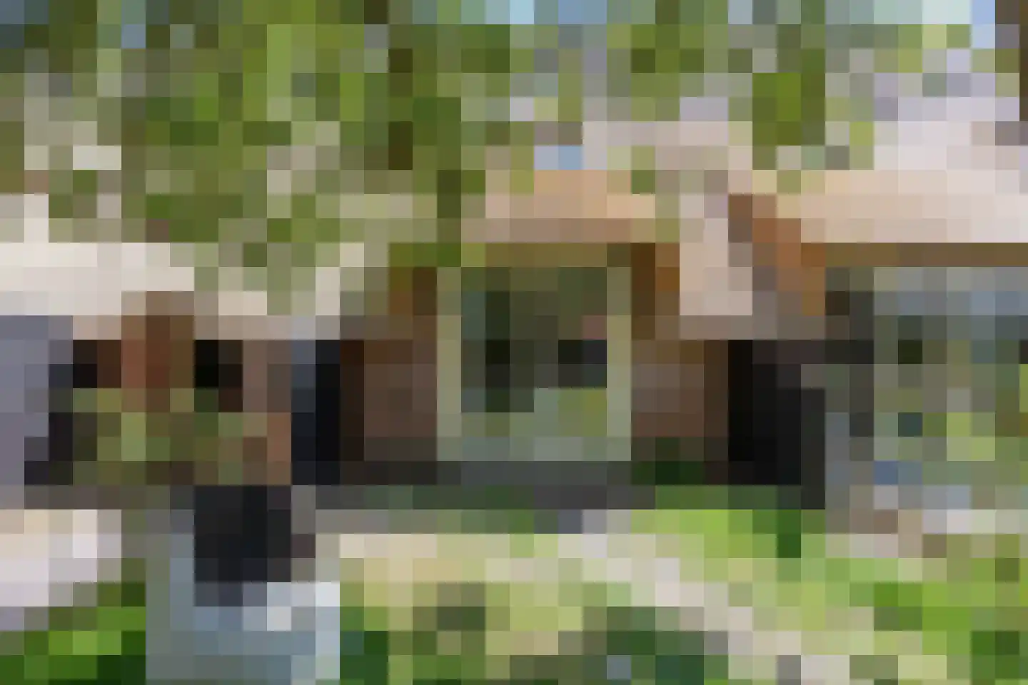Zandvoort 2 C Norg thumbnail 28