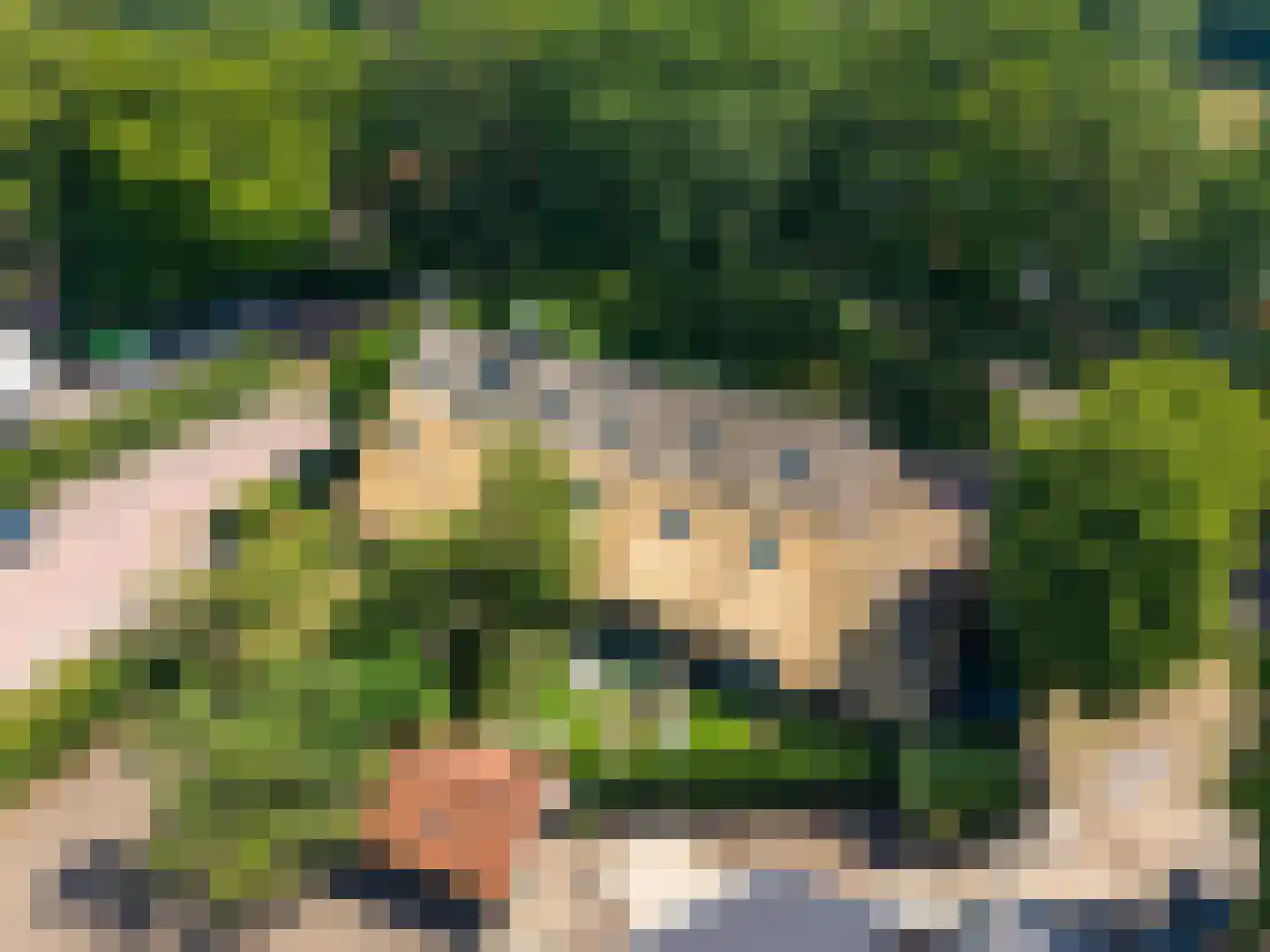 Zandvoort 2 C Norg thumbnail 4