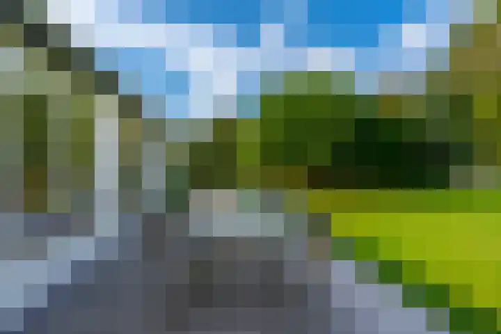 Zandvoort 26 Amerongen thumbnail 7