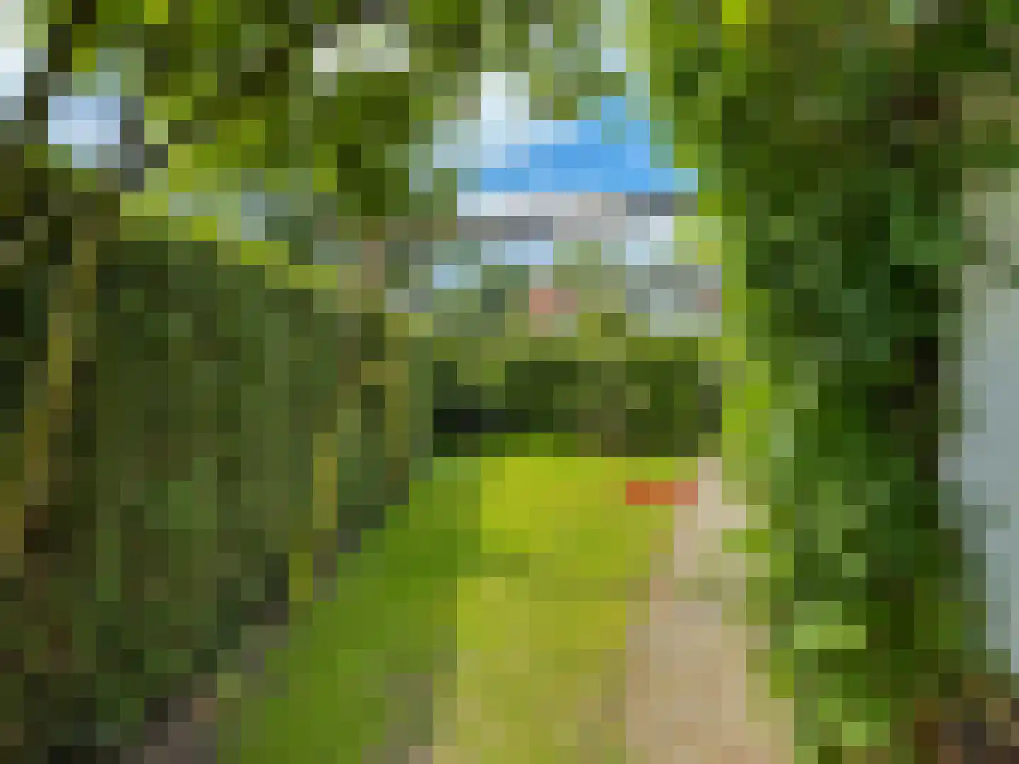 Zandvoort 6 Amerongen thumbnail 27