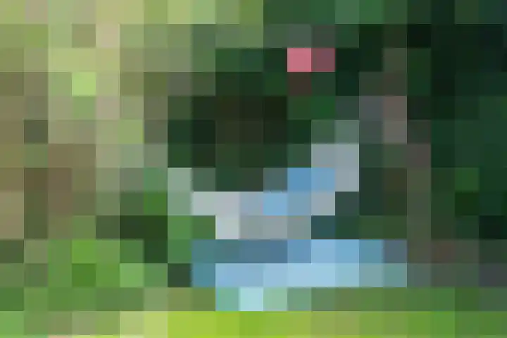 Zandvoorter Allee 10 Heemstede thumbnail 37