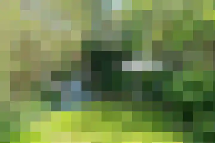 Zandvoorter Allee 10 Heemstede thumbnail 39