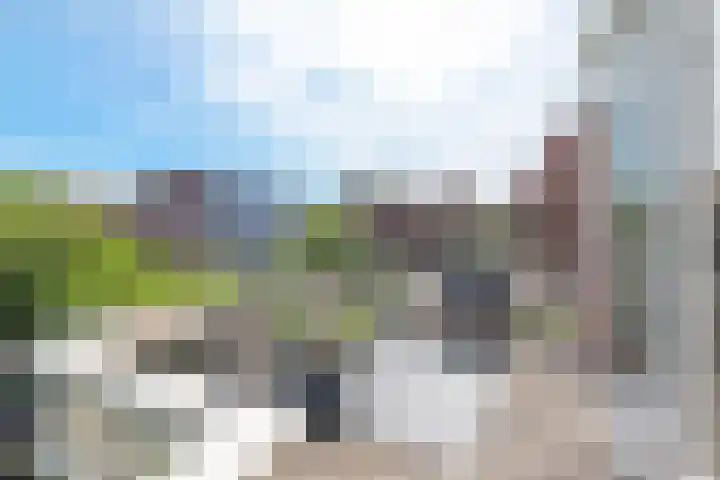 Zandvoorter Allee 10 Heemstede thumbnail 47