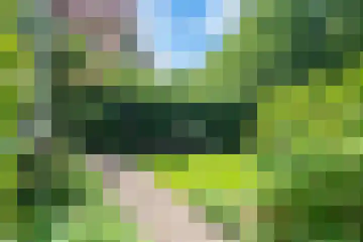 Zandvoorter Allee 10 Heemstede thumbnail 7