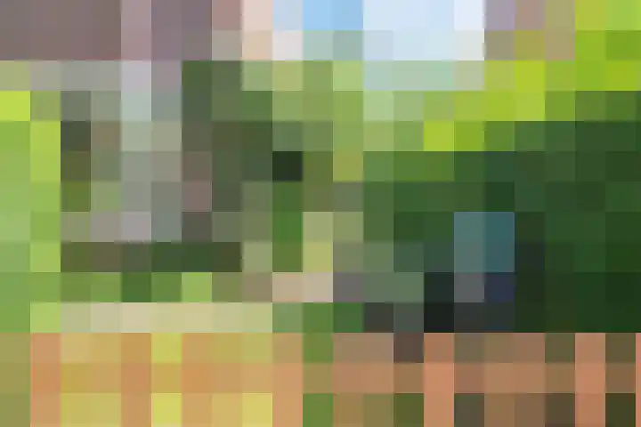 Zandvoorter Allee 10 Heemstede thumbnail 8