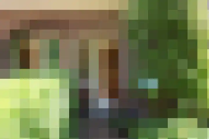 Zandvoorter Allee 10 Heemstede thumbnail 9