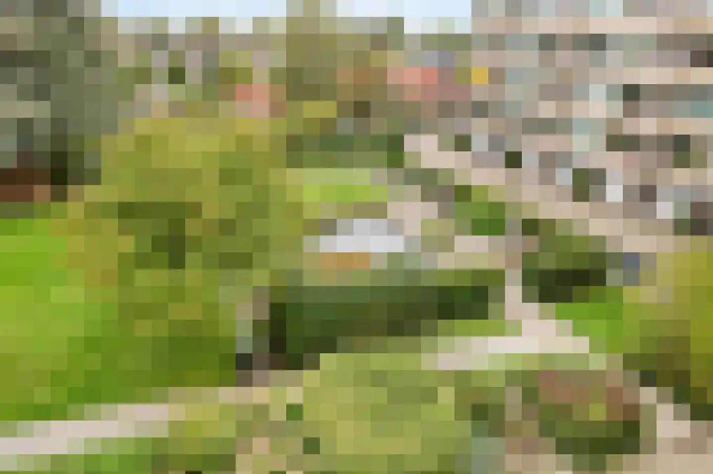 Zandvoorter Allee 142 Haarlem thumbnail 18