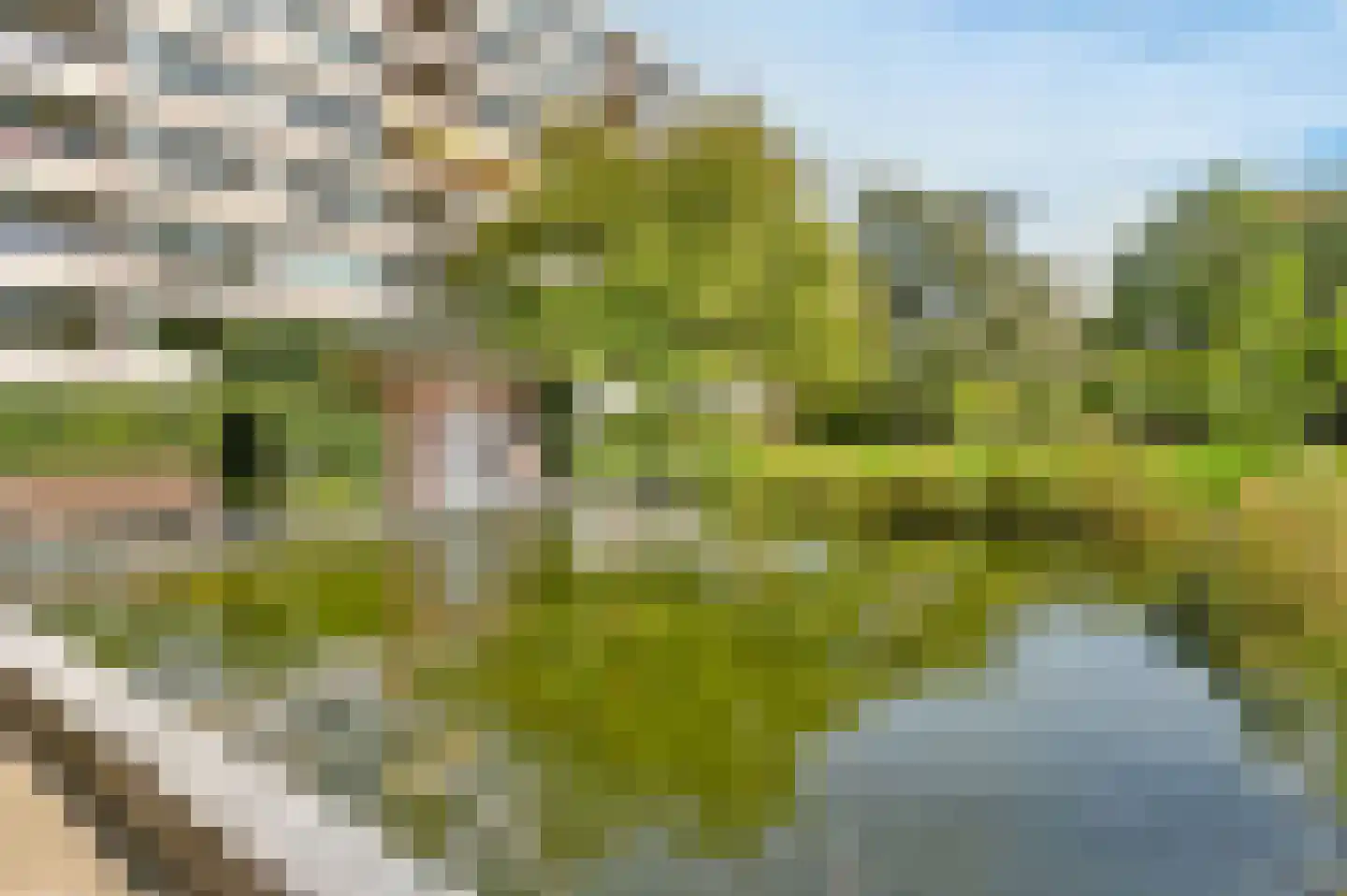 Zandvoorter Allee 142 Haarlem thumbnail 40