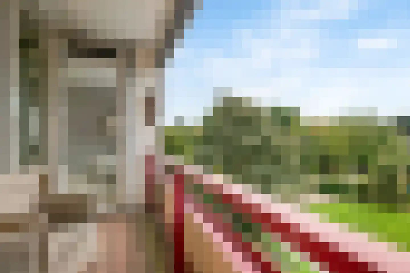 Zandvoorter Allee 142 Haarlem thumbnail 5