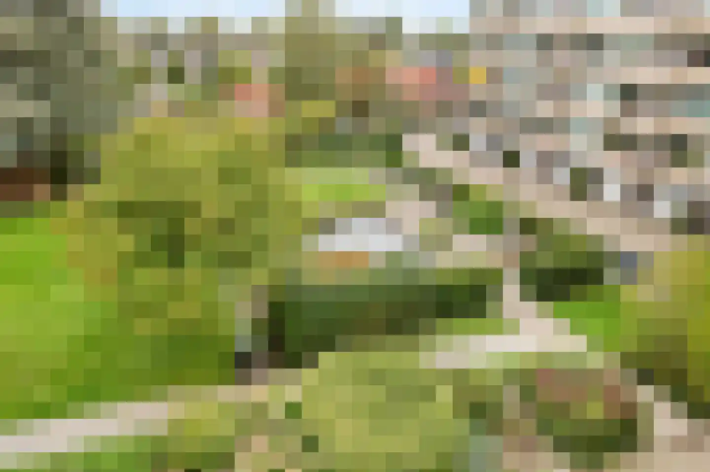 Zandvoorter Allee 142 Haarlem thumbnail 6
