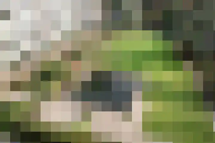 Zandvoorter Allee 206 Haarlem thumbnail 14