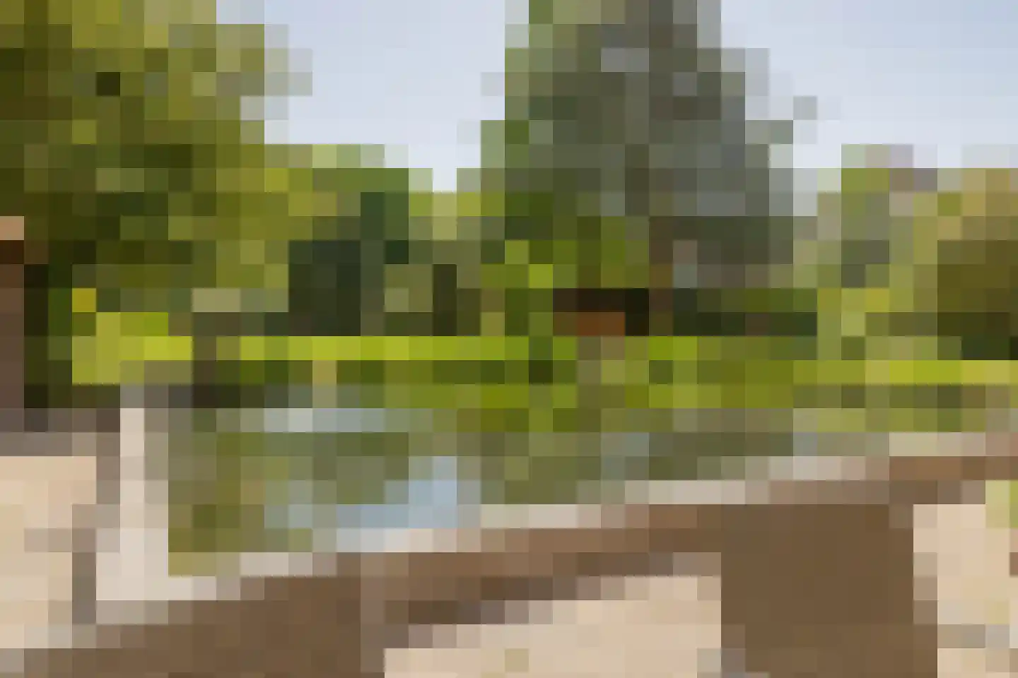 Zandvoorter Allee 228 Haarlem thumbnail 40