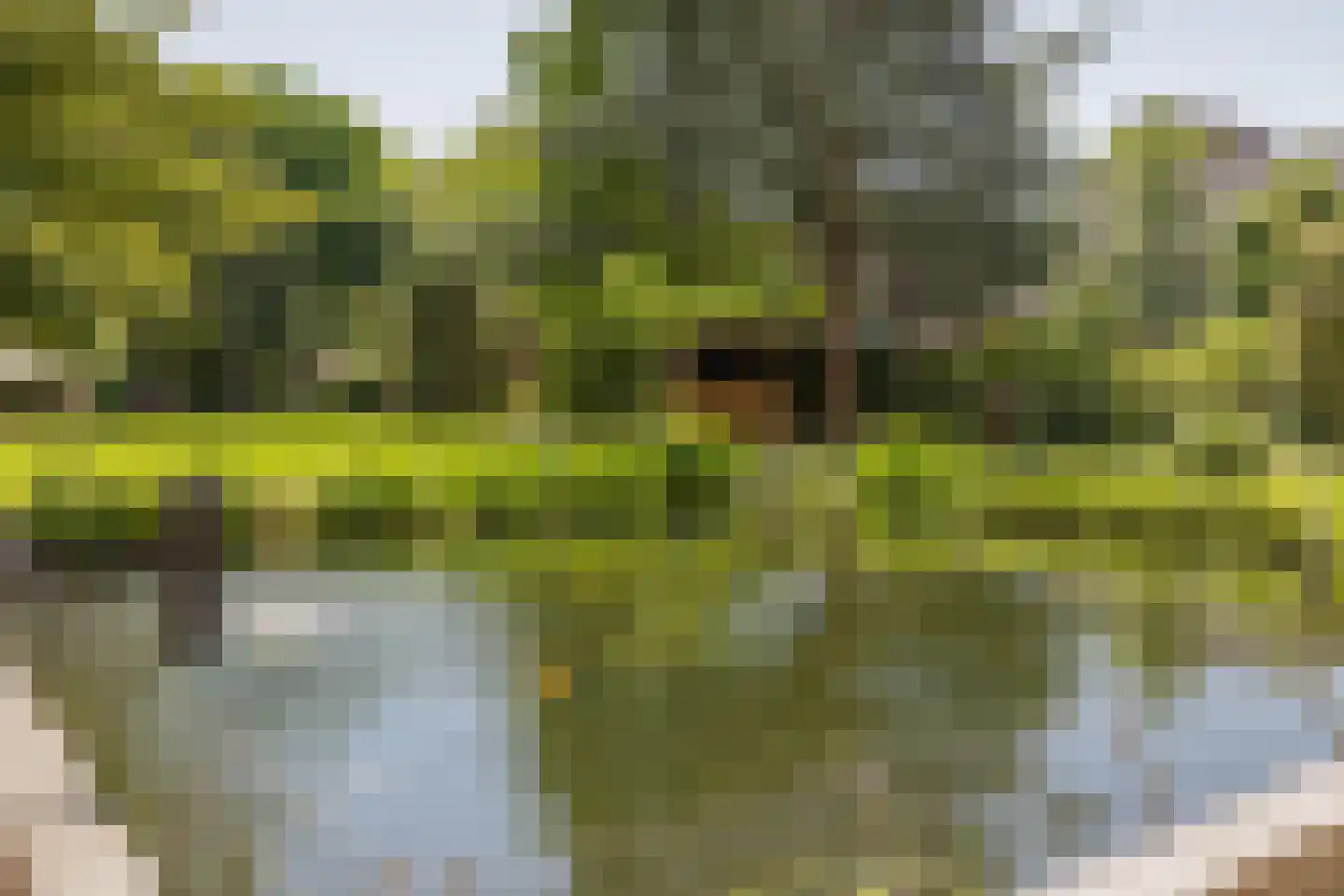Zandvoorter Allee 228 Haarlem thumbnail 41