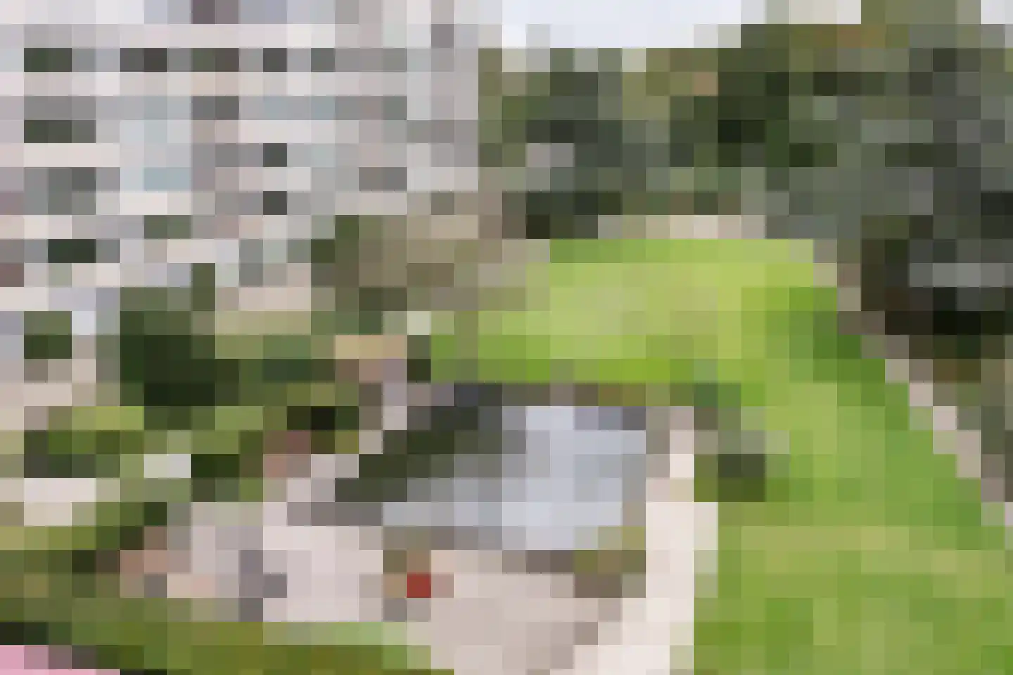 Zandvoorter Allee 230 Haarlem thumbnail 19
