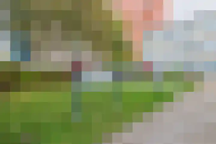 Zandvoorter Allee 236 Haarlem thumbnail 28