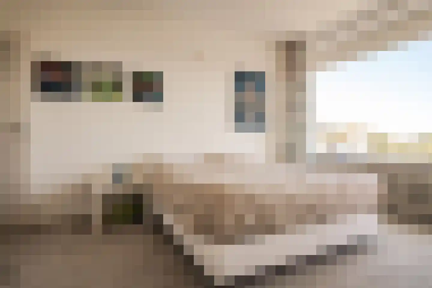 Zandvoorter Allee 242 Haarlem thumbnail 13