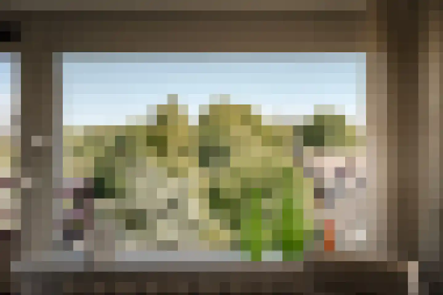 Zandvoorter Allee 242 Haarlem thumbnail 7