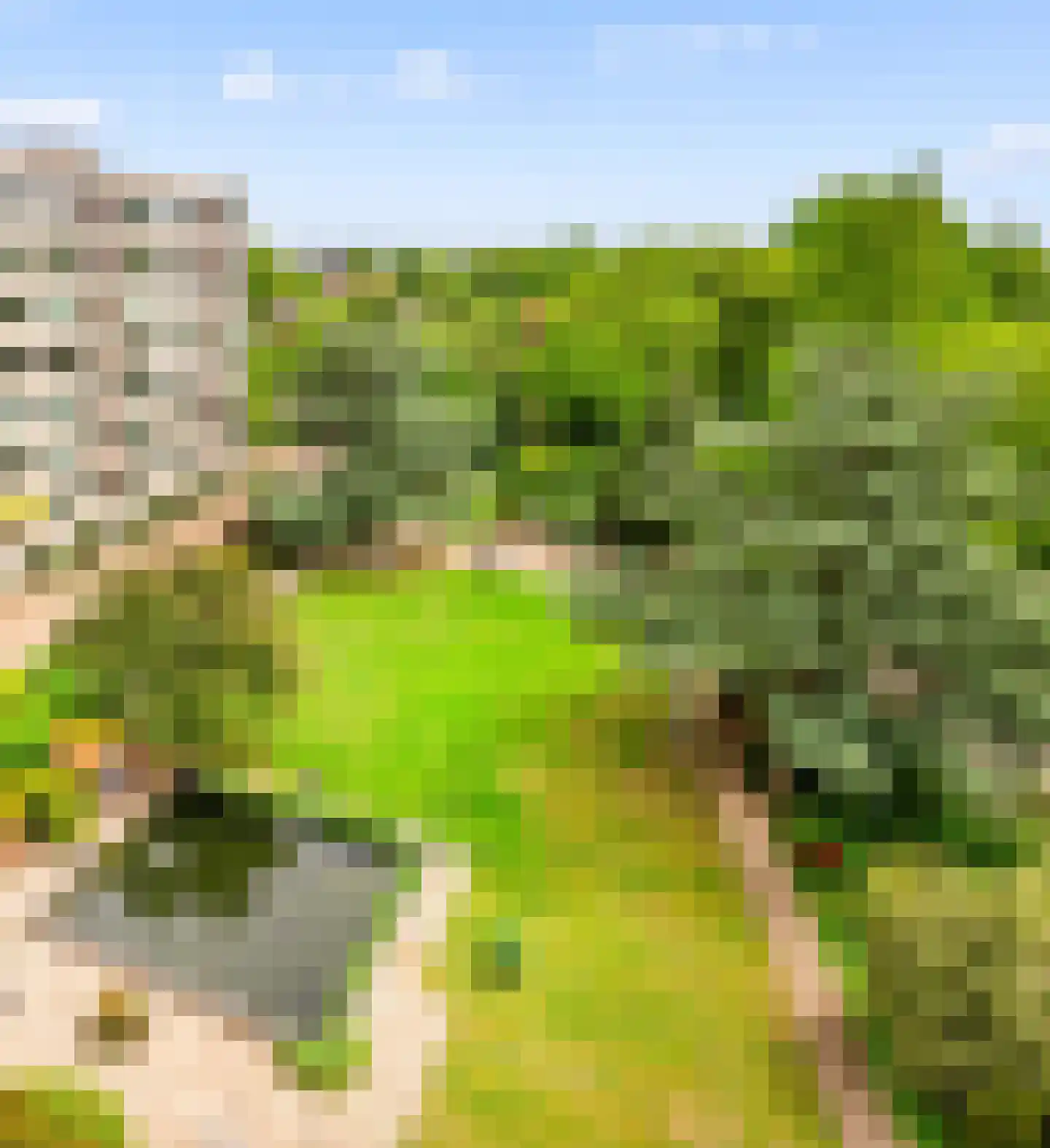 Zandvoorter Allee 244 Haarlem thumbnail 30