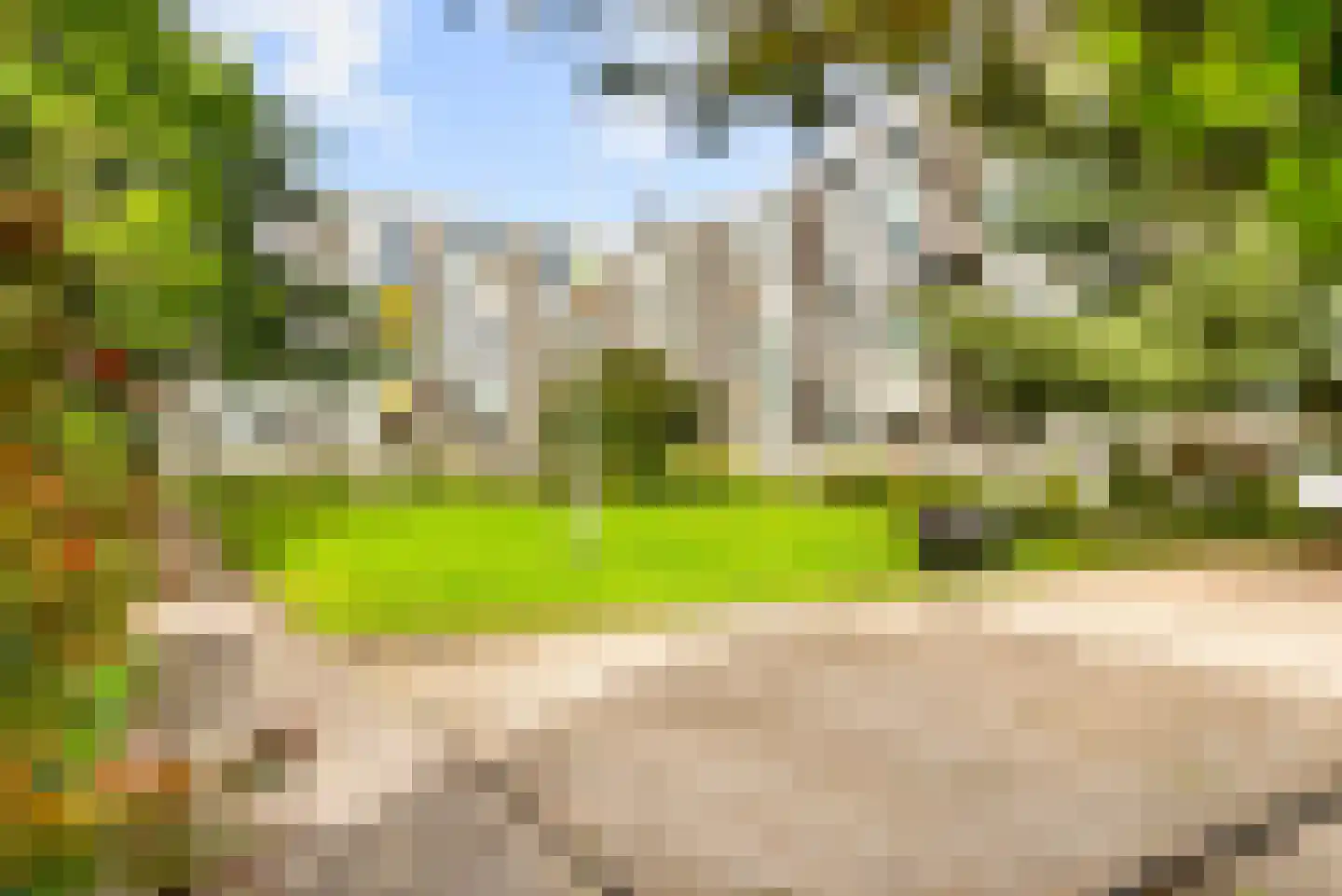 Zandvoorter Allee 244 Haarlem thumbnail 37