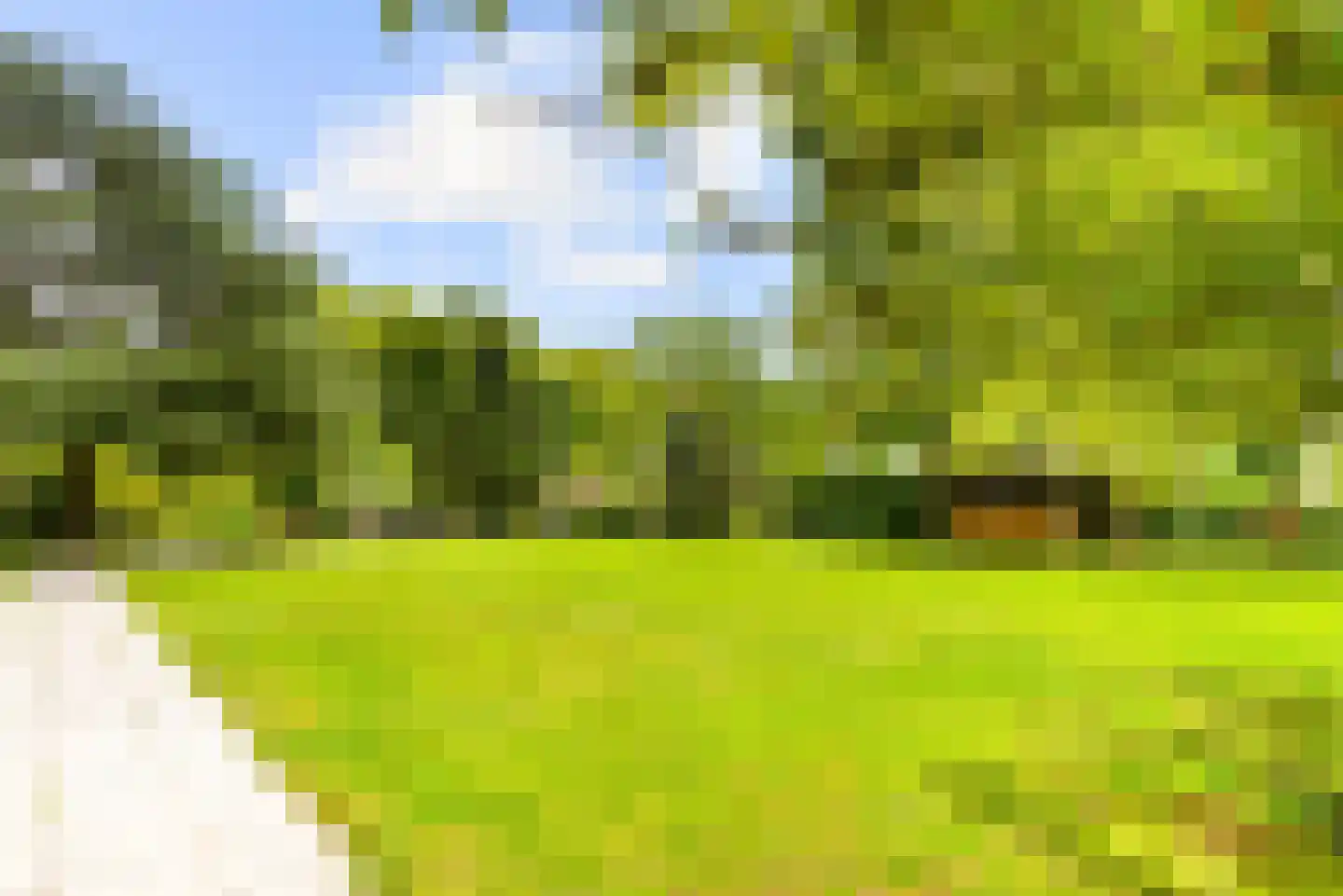 Zandvoorter Allee 244 Haarlem thumbnail 40