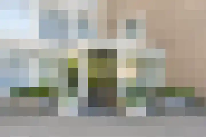 Zandvoorter Allee 250 Haarlem thumbnail 5