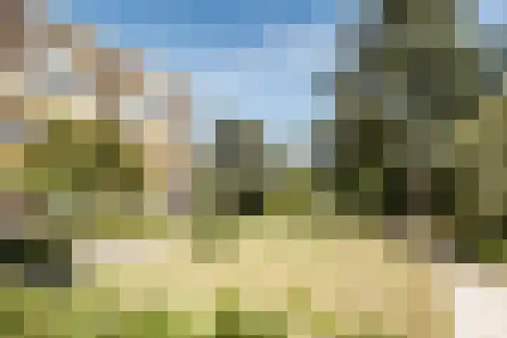 Zandvoorter Allee 252 Haarlem thumbnail 22