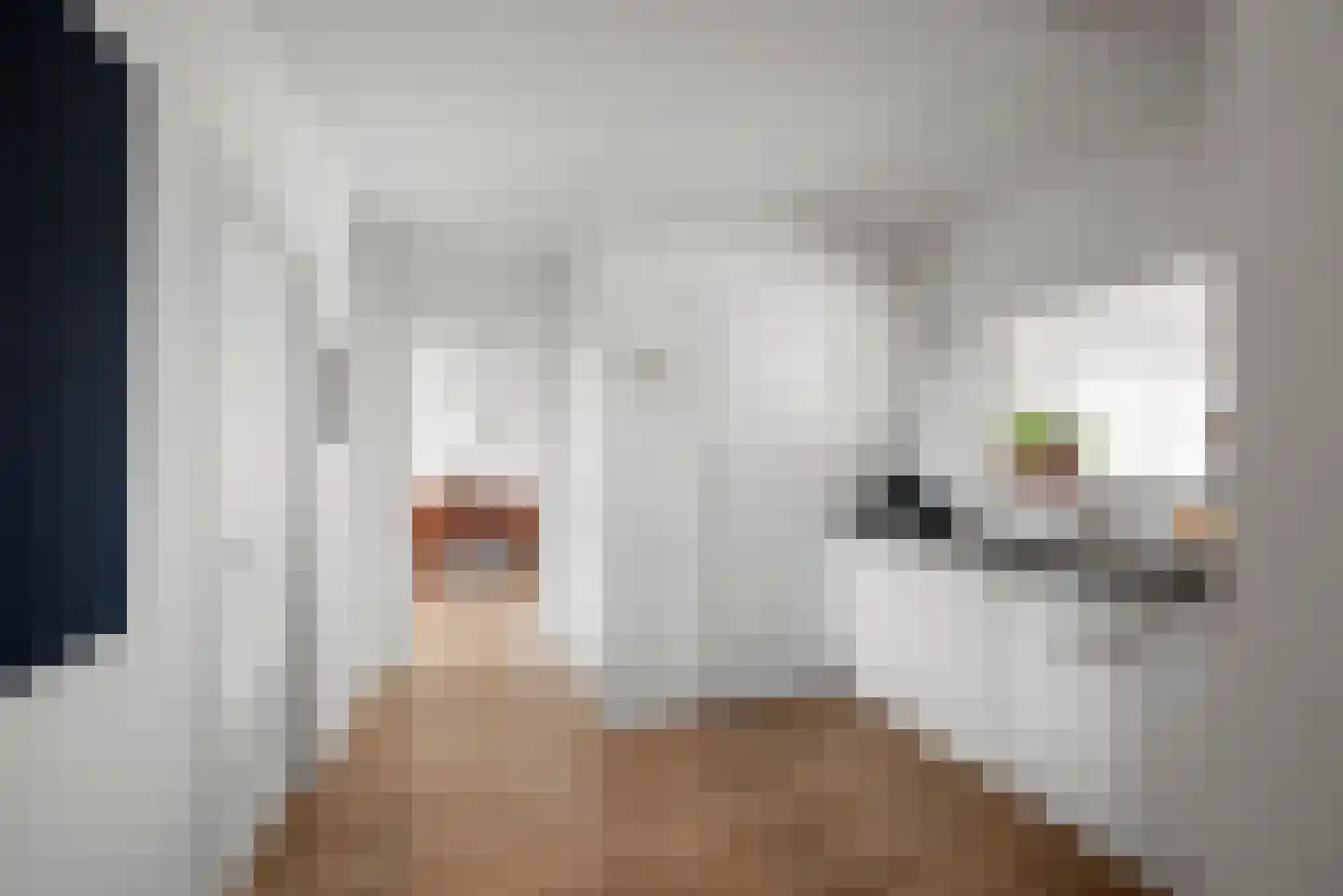 Zandvoorter Allee 262 Haarlem thumbnail 5