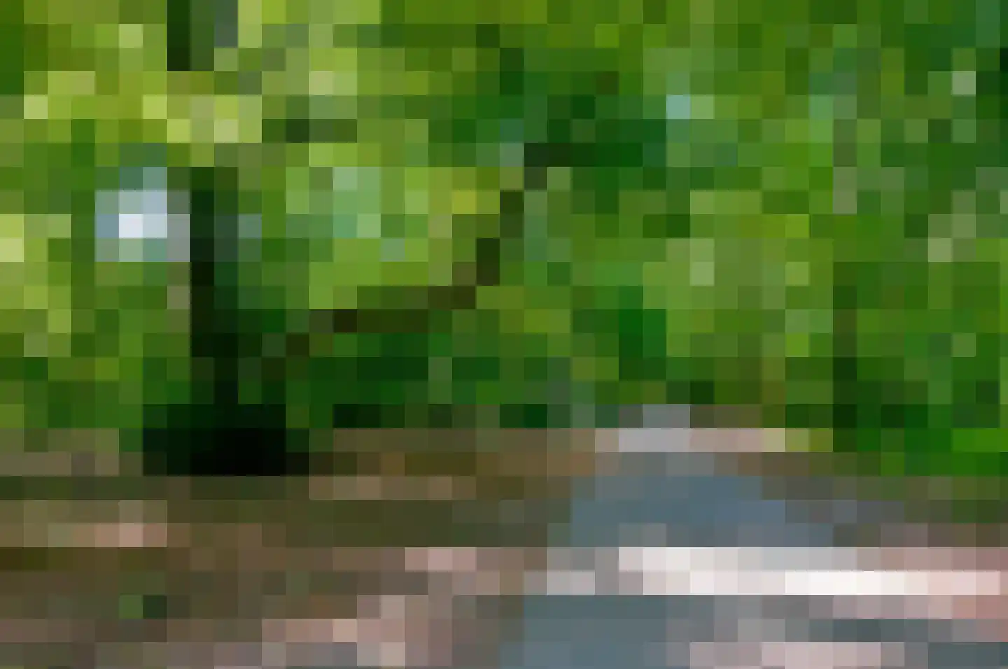Zandvoorter Allee 262 Haarlem thumbnail 55