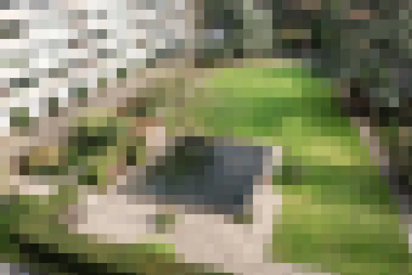 Zandvoorter Allee 274 Haarlem thumbnail 19