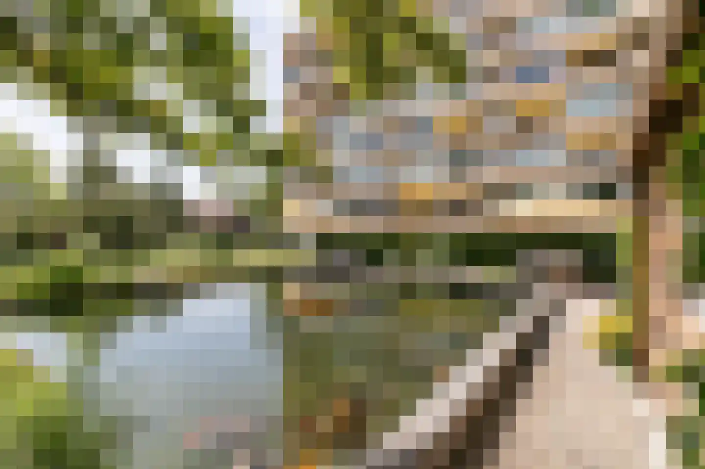 Zandvoorter Allee 304 Haarlem thumbnail 25