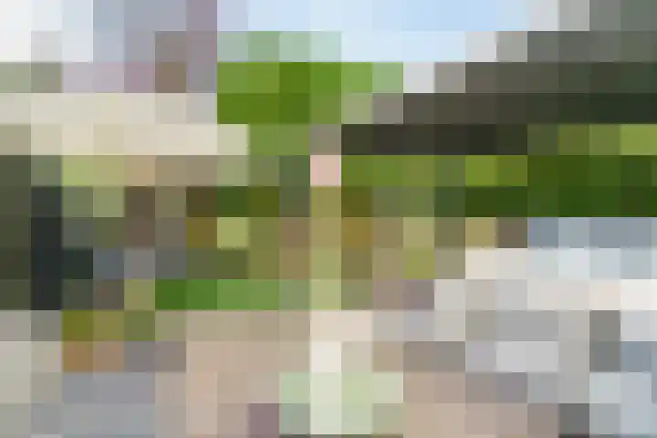 Zandvoorter Allee 4 Heemstede thumbnail 18