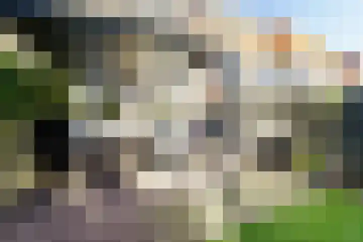 Zandvoorter Allee 4 Heemstede thumbnail 20