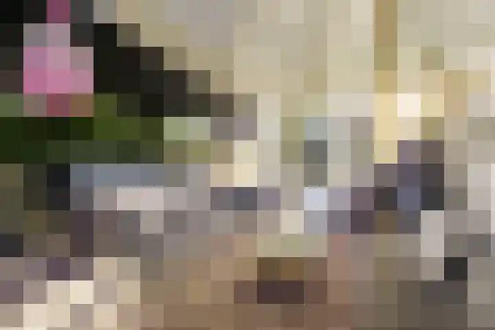 Zandvoorter Allee 4 Heemstede thumbnail 21