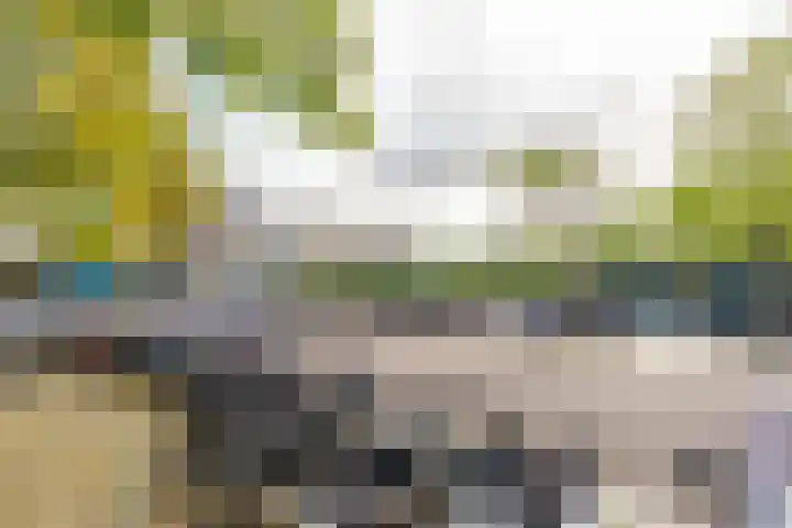Zandvoorter Allee 4 Heemstede thumbnail 43