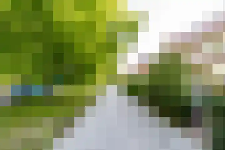 Zandvoorter Allee 4 Heemstede thumbnail 6