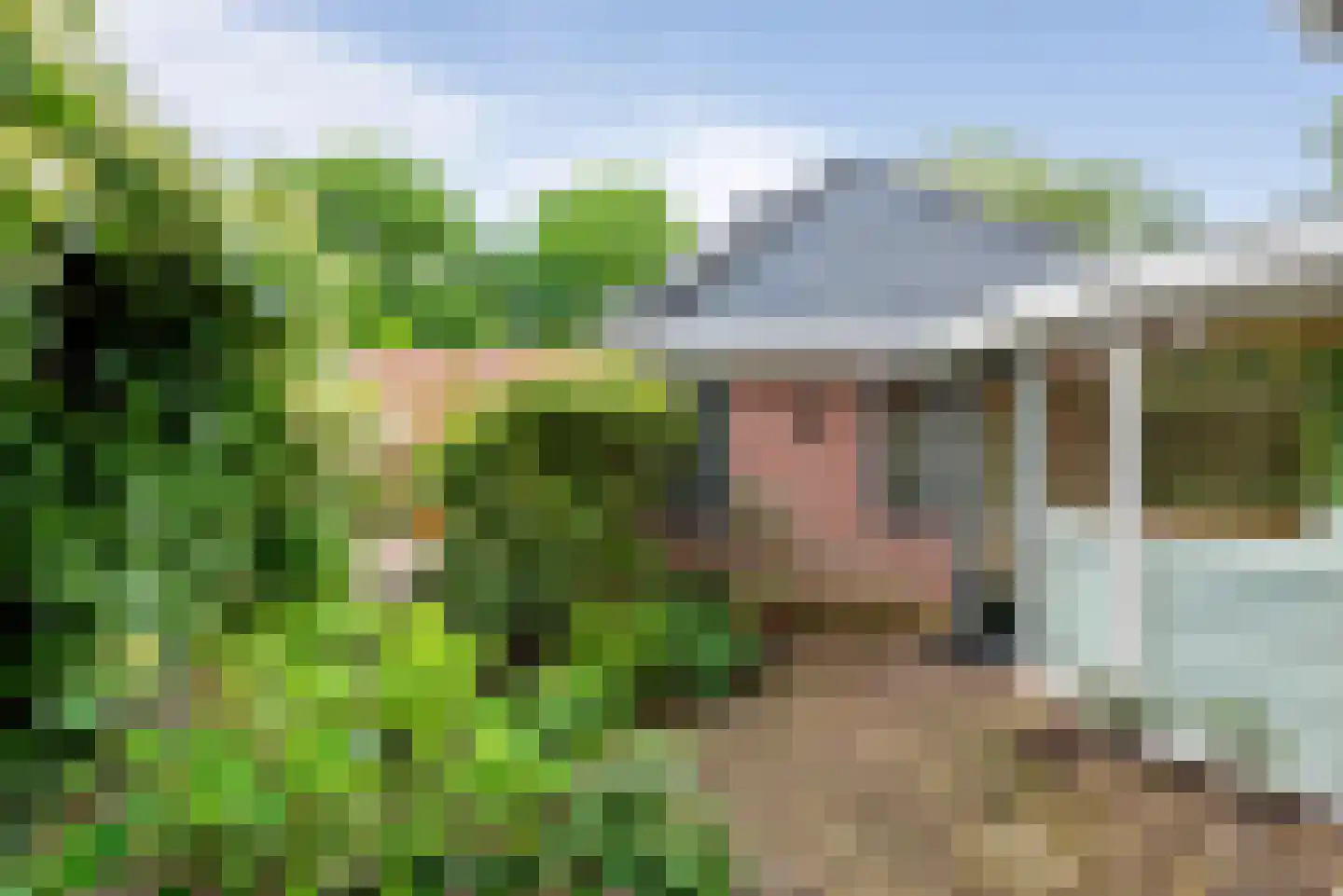 Zandvoorter Allee 43 Heemstede thumbnail 13