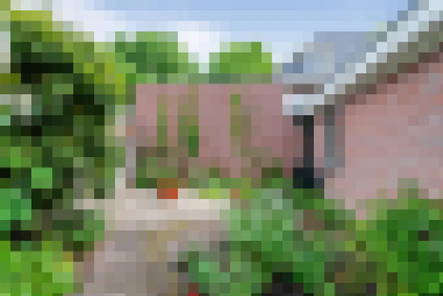 Zandvoorter Allee 43 Heemstede thumbnail 14