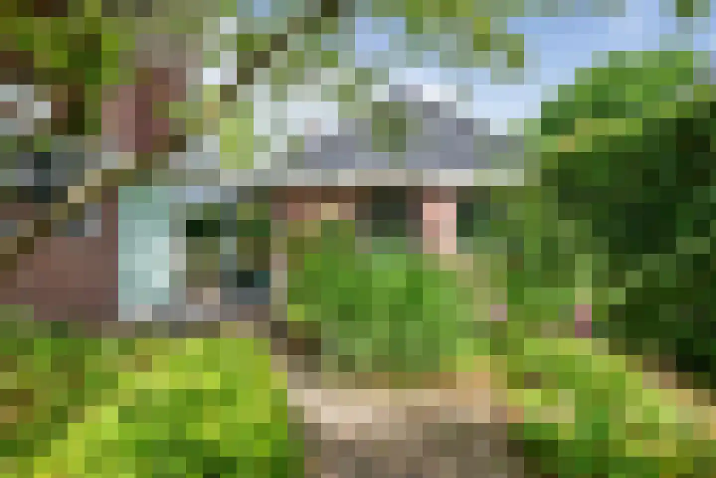 Zandvoorter Allee 43 Heemstede thumbnail 4