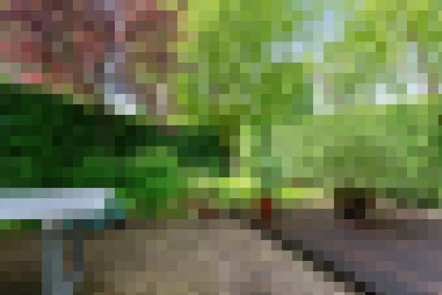 Zandvoorter Allee 43 Heemstede thumbnail 62